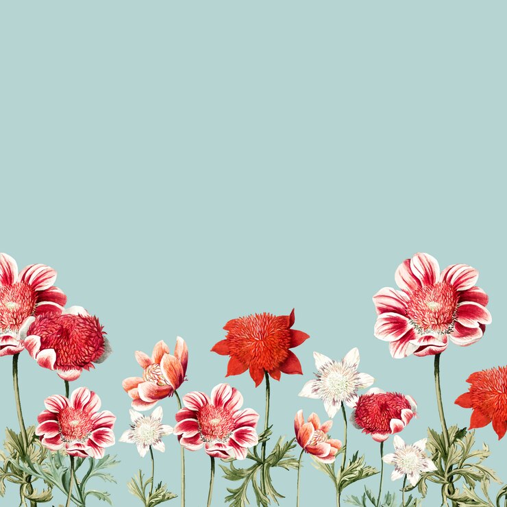 Vetor grátis quadro de flor desenhada mão vermelho e branco anêmona