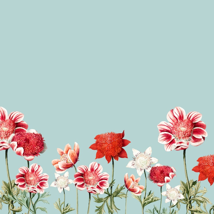 Vetor grátis quadro de flor desenhada mão vermelho e branco anêmona