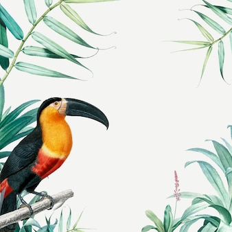 Quadro de papagaio tropical