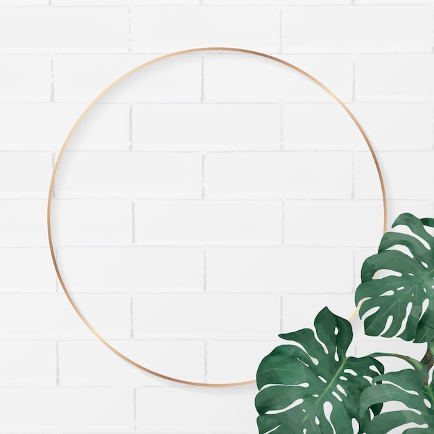 Quadro monstera redondo em branco