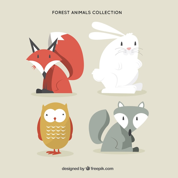 Quatro animais da floresta linda