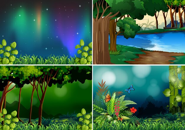 Quatro cenas da floresta durante a noite