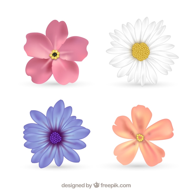 Vetor grátis quatro flores bonitas