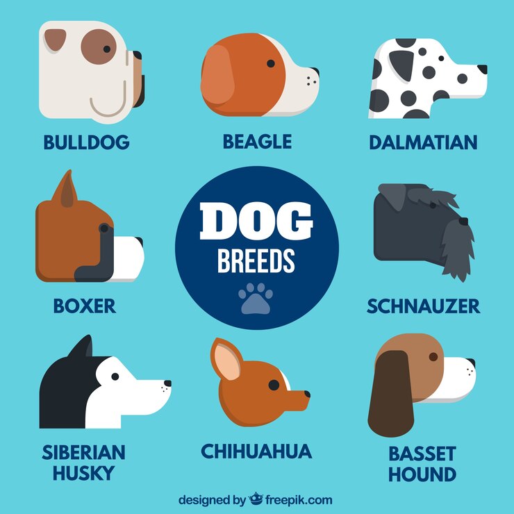 Vetor grátis raças bonitos do cão em design plano