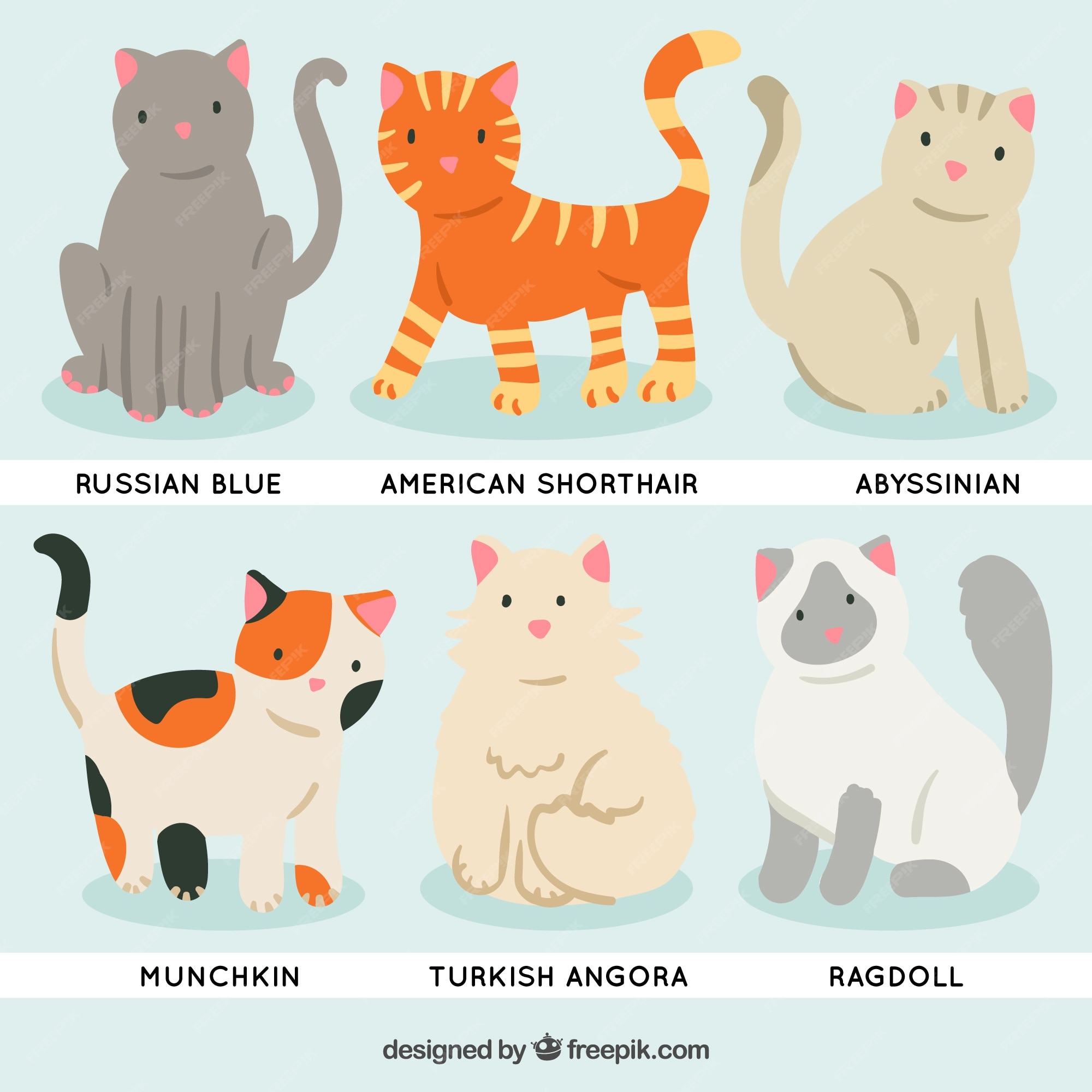 Vector Os Caráteres Diferentes Do Animal De Estimação Das Raças Do Gato  Engraçado E Bonito Dos Desenhos Animados Ajustados Ilustração do Vetor -  Ilustração de olhos, fundo: 110403119