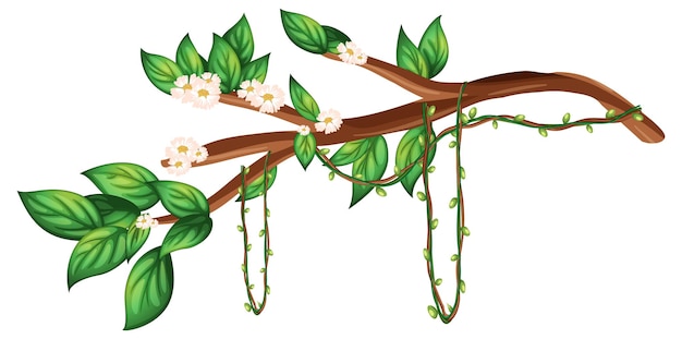 Vetor grátis ramo de flor de cerejeira isolado