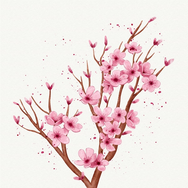 Ramo em aquarela de flor de sakura
