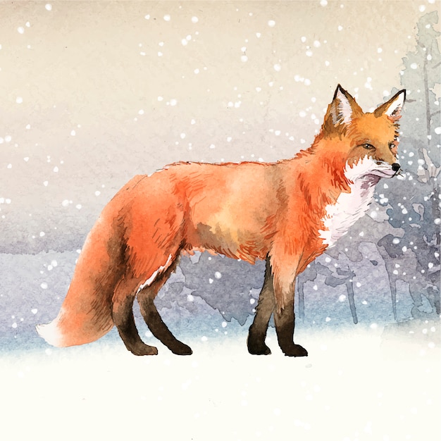 Raposa desenhados à mão no estilo aquarela de neve