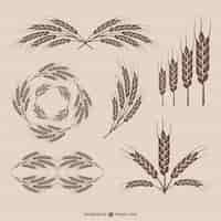 Vetor grátis retro coleção vetor trigo