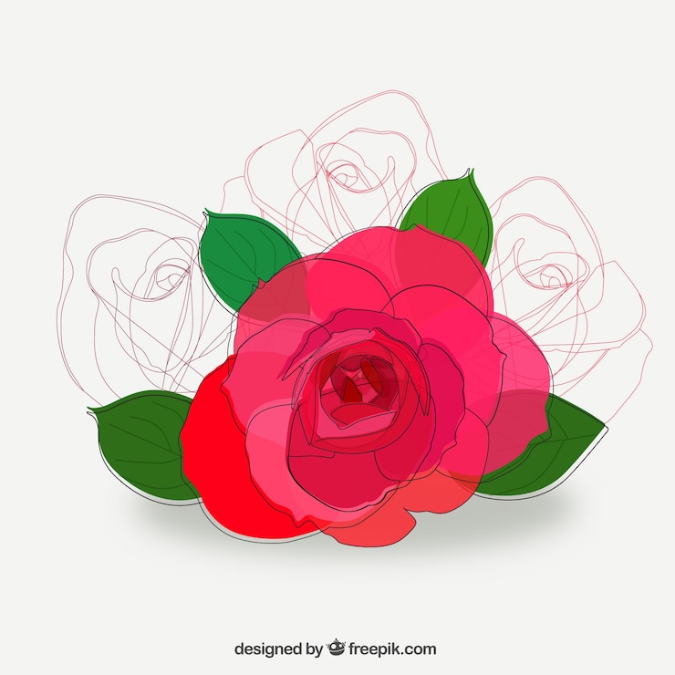 Vetor grátis rosa esboçado