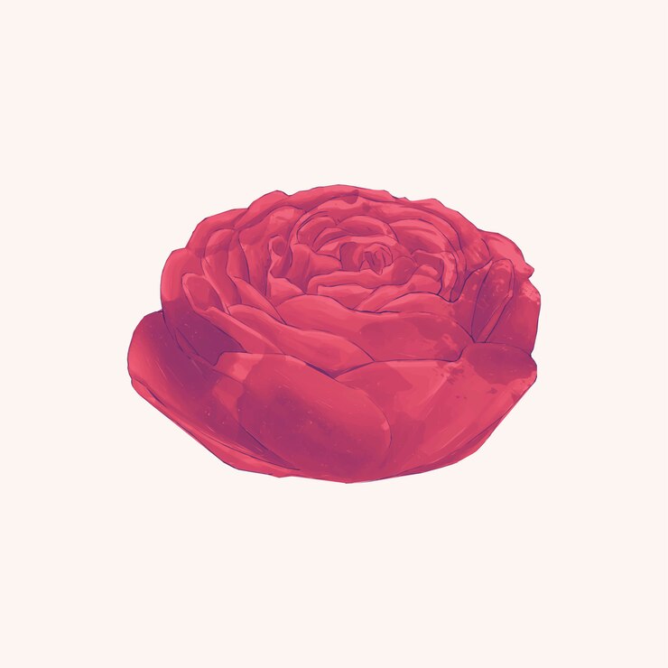 Vetor grátis rosa