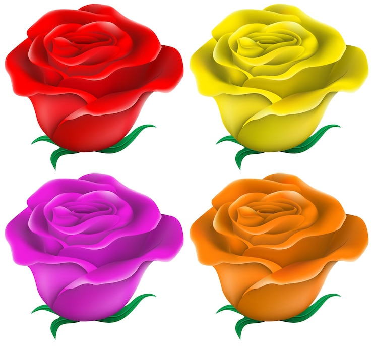 Vetor grátis rosas coloridas