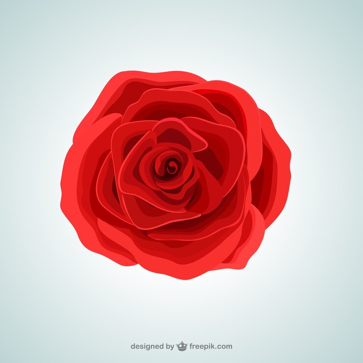 Vetor grátis rose red