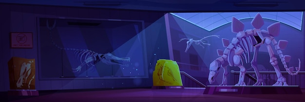 Sala de museu noturna com esqueleto de dinossauro fóssil fundo vetor de desenho animado paleontologia jurássica exposição interior da galeria de crânio de triceratops e pterodáctilo com osso e luz da lua da janela