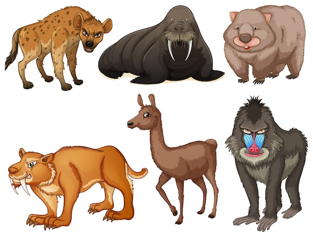 Vetor grátis seis tipos diferentes de animais raros