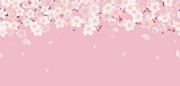 Vetor grátis sem costura floral com flores de cerejeira em plena floração em uma rosa.