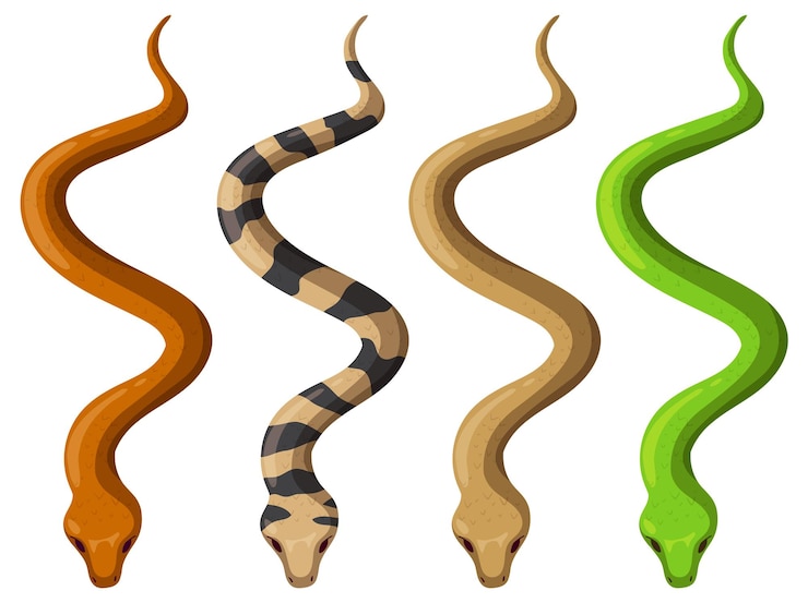 Vetor grátis serpentes coloridas em ilustração vetorial