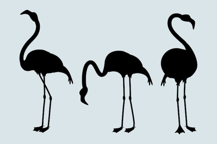 Vetor grátis silhueta de flamingo desenhada de mão