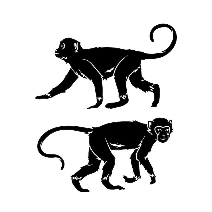 Vetor grátis silhueta de macaco desenhada de mão