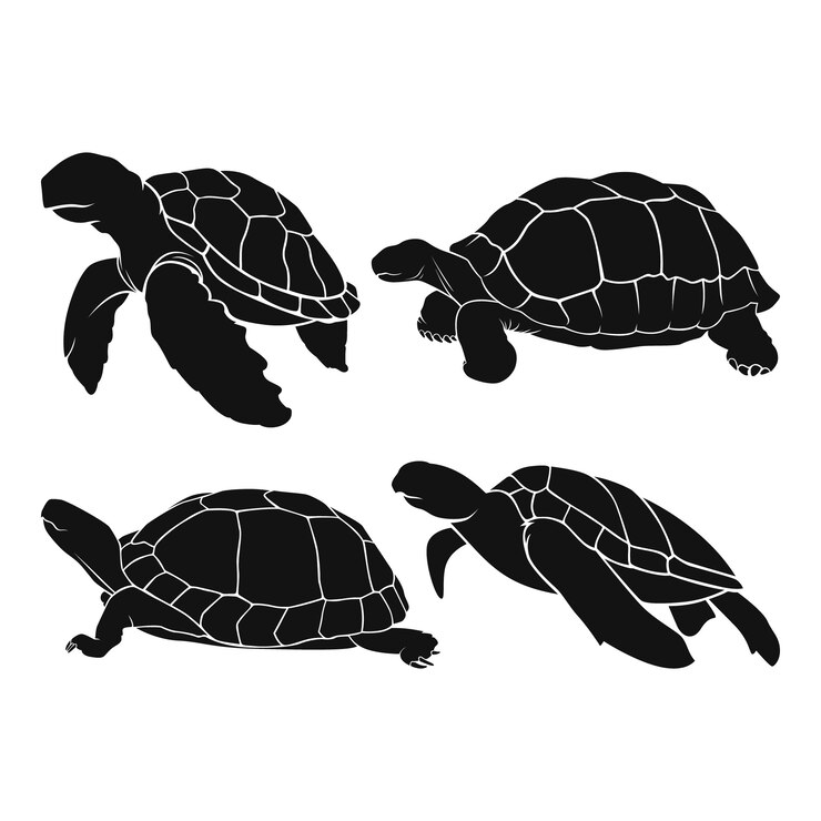Vetor grátis silhueta de tartaruga desenhada de mão