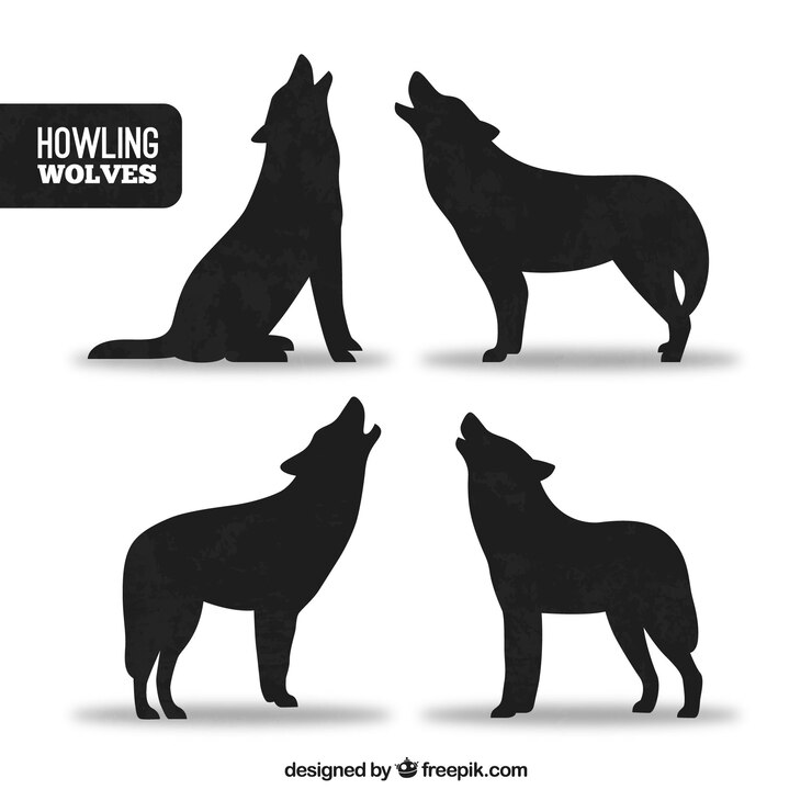 Vetor grátis silhuetas de lobos uivando