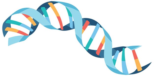 Símbolo de hélice de DNA isolado no fundo branco