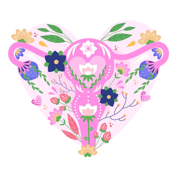 Vetor grátis sistema reprodutivo feminino com flores