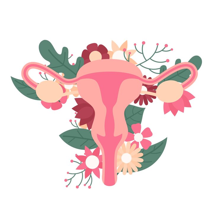 Vetor grátis sistema reprodutivo feminino com flores
