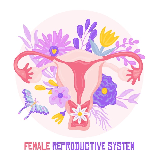Vetor grátis sistema reprodutivo feminino com flores