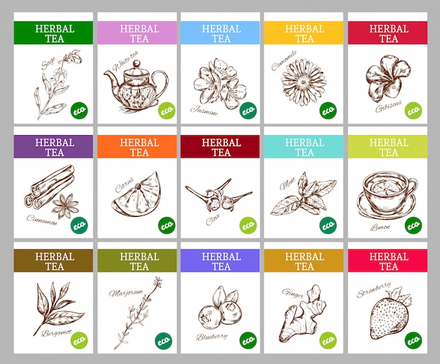 Vetor grátis sketch herbal tea labels collection