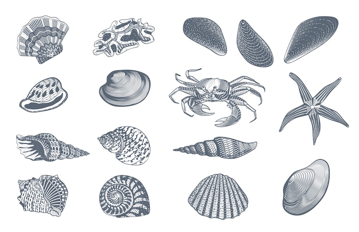 Vetor grátis sketch ocean nature set