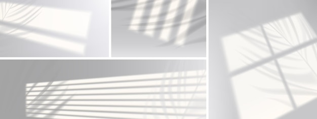 Sombras de janela com galhos de plantas em persianas de luz realistas de parede efeito de sobreposição sombra de veneziana no fundo branco a luz solar suave cai no chão da sala maquete de design gráfico ilustração em vetor 3d