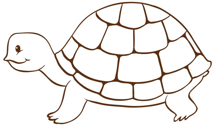 Vetor grátis tartaruga em estilo simples doodle no fundo branco
