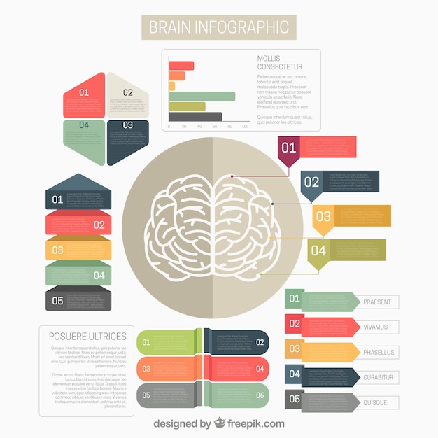 Vetor grátis template infográfico cérebro com opções coloridas