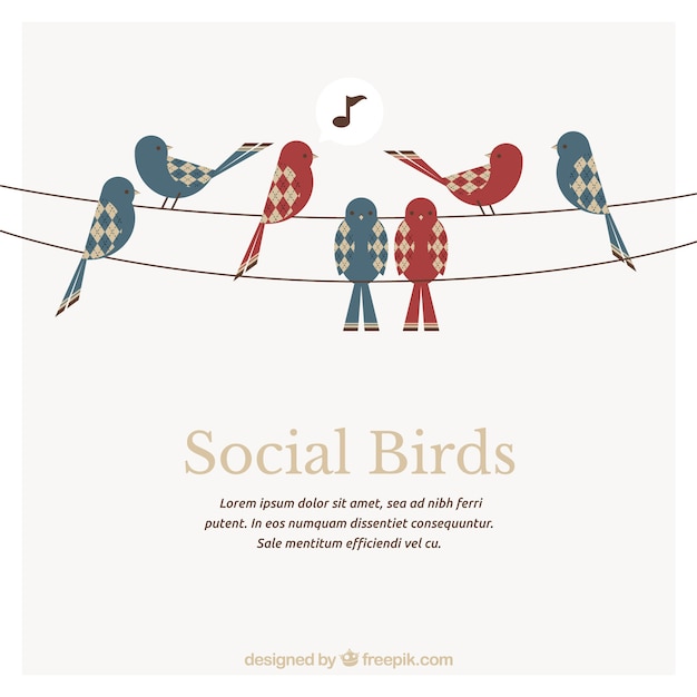 Template pássaros sociais