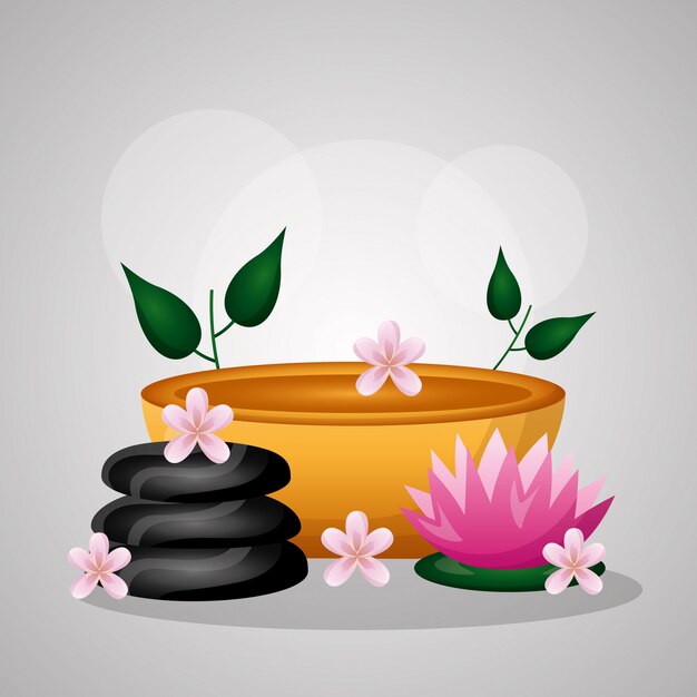 Terapia de tratamento de spa