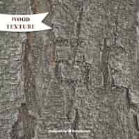 Vetor grátis textura de madeira realista