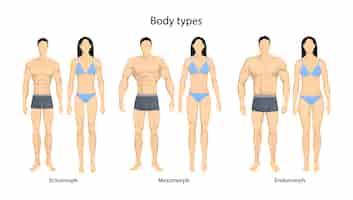 Vetor grátis tipos de corpo humano homens e mulheres como endomorfo ectomorfo e mesomorfo