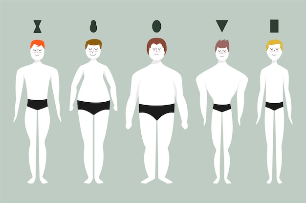 Tipos de desenhos de formas do corpo masculino