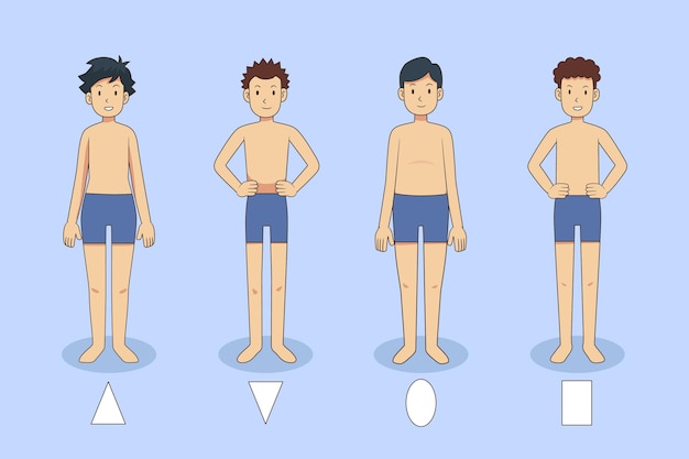 Tipos de desenhos do corpo masculino