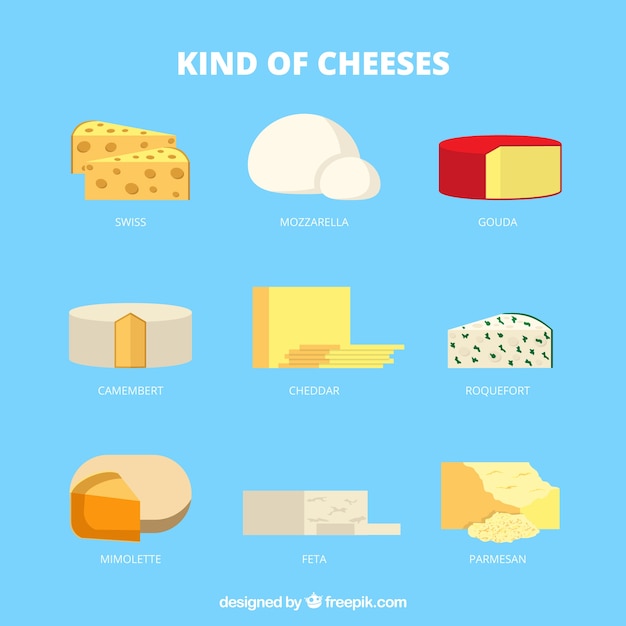 Vetor grátis tipos de queijo delicioso