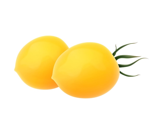 Tomates amarelos maduros na ilustração vetorial realista de fundo branco