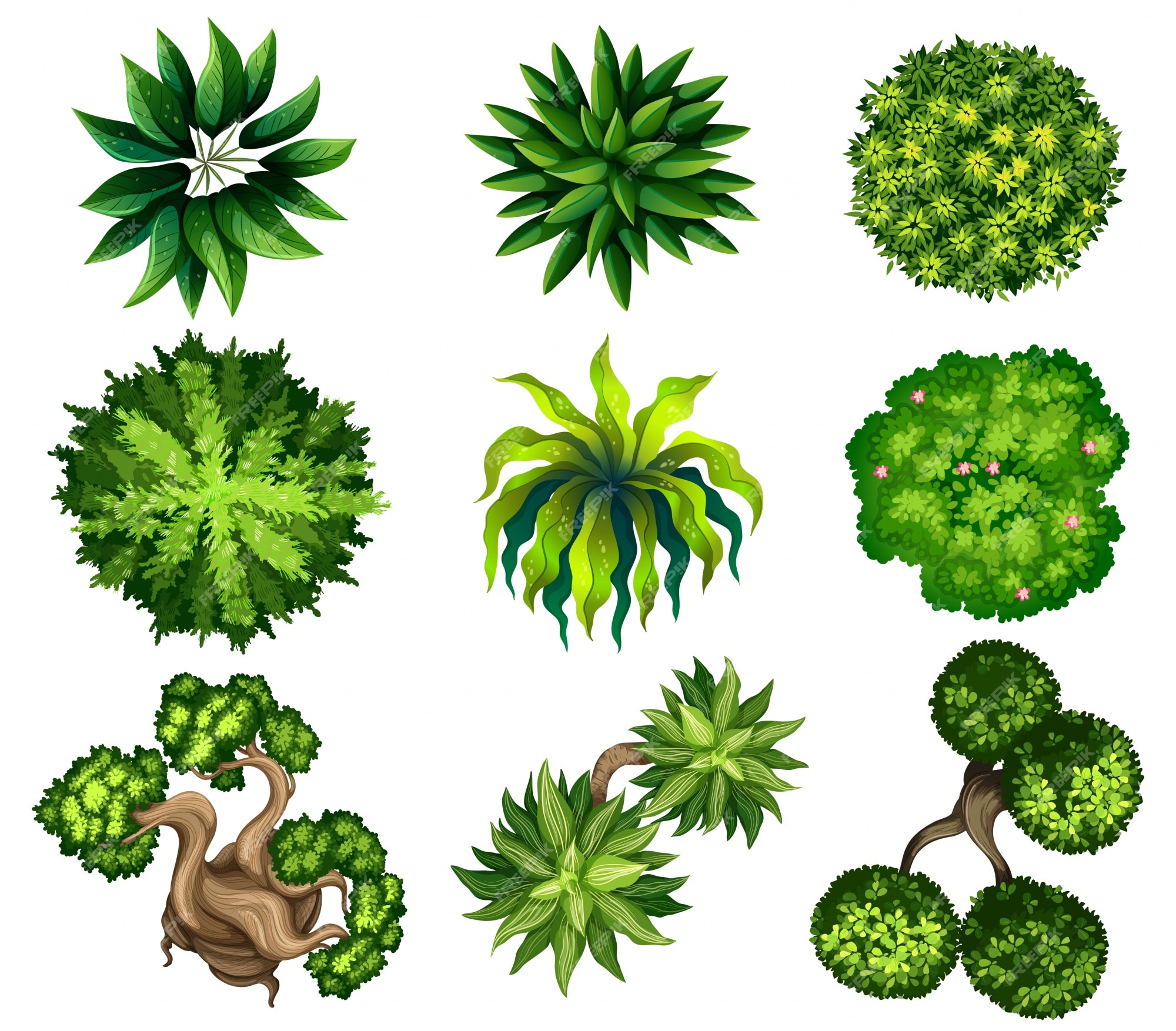 Green Cacto Saúde Plant PNG , Realista, Mão, Realista Imagem PNG e PSD Para  Download Gratuito