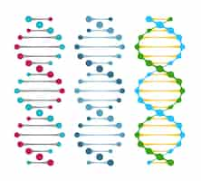 Vetor grátis três variantes de moléculas de dna de fita dupla mostrando os pares de nucleotídeos em uma ilustração vetorial de dupla hélice