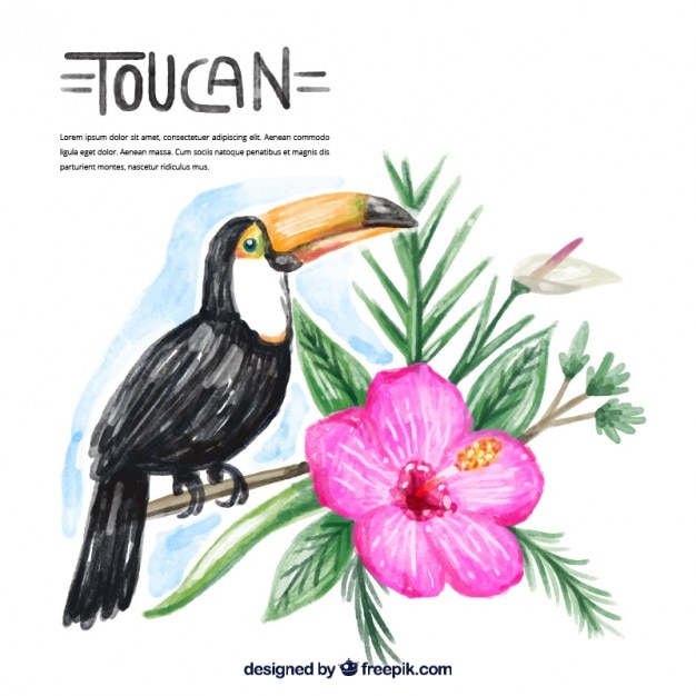 Tucano aguarela com decoração de flores