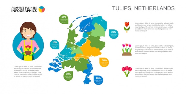 Vetor grátis tulips of netherlands slide template