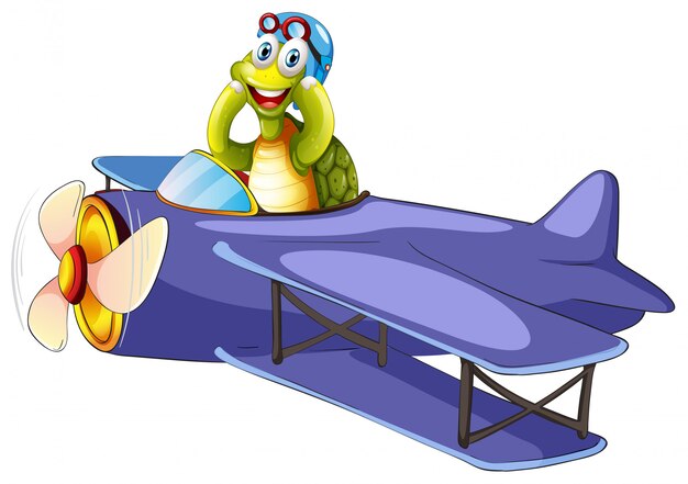 Turtle riding vintage airplane