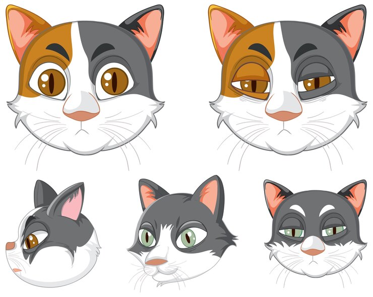 Vetor grátis um conjunto de cabeça de gato em fundo branco