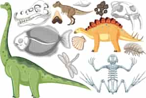 Vetor grátis um conjunto de dinossauro e fóssil