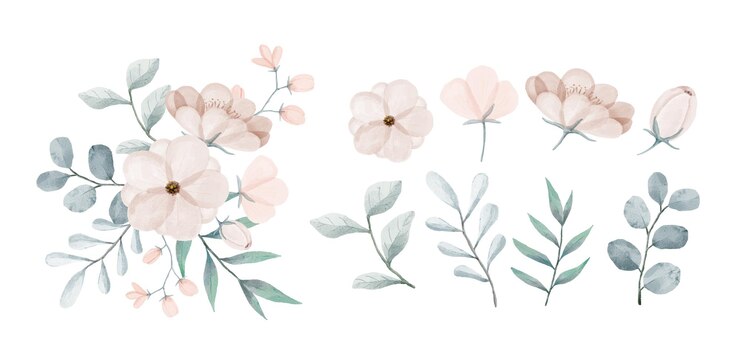 Vetor grátis um conjunto de flores pintadas com aquarelas